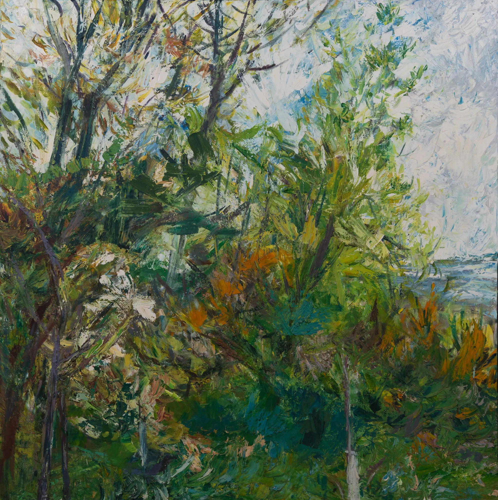 Spring